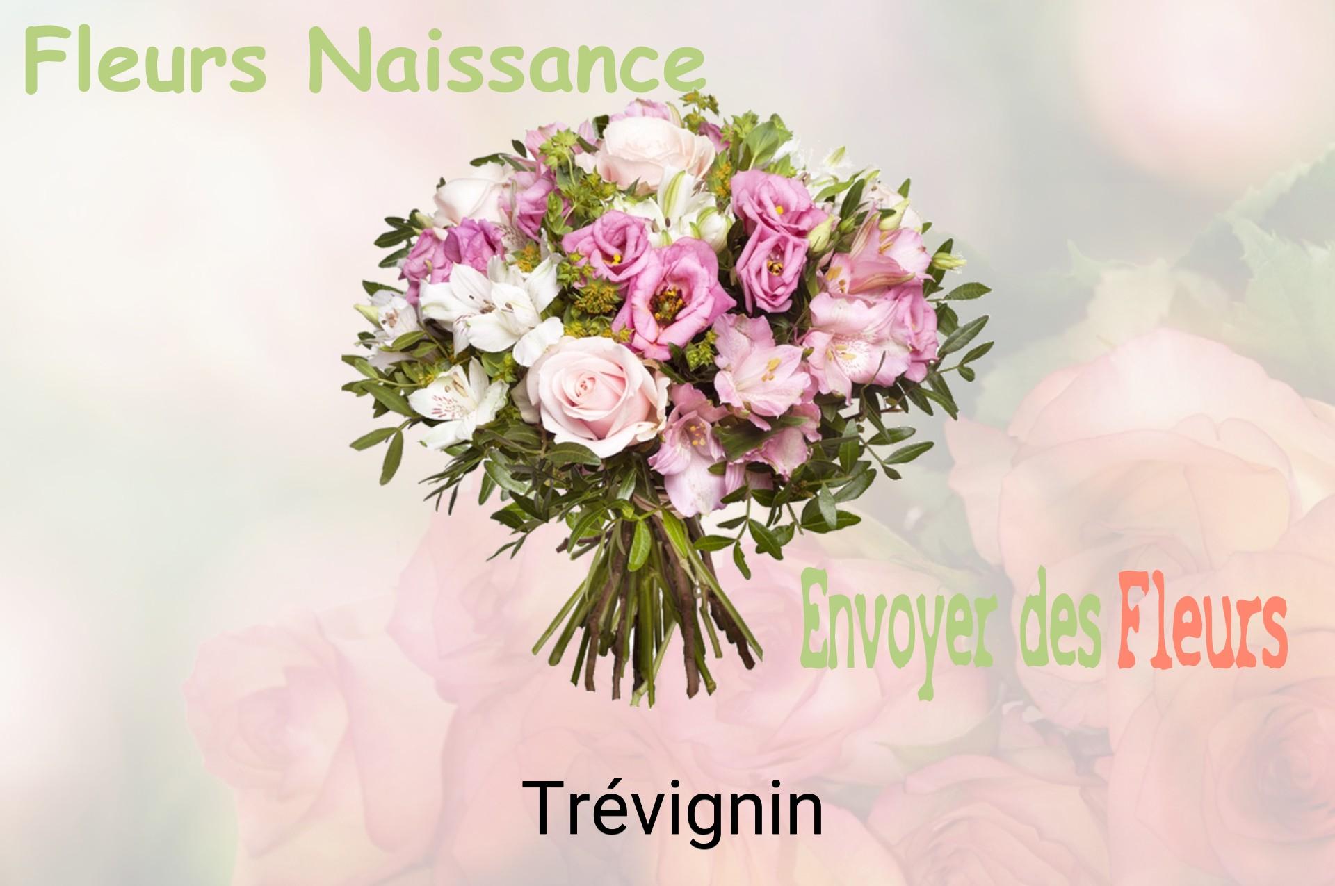 Bouquet de fleurs de naissance livré à Trévignin